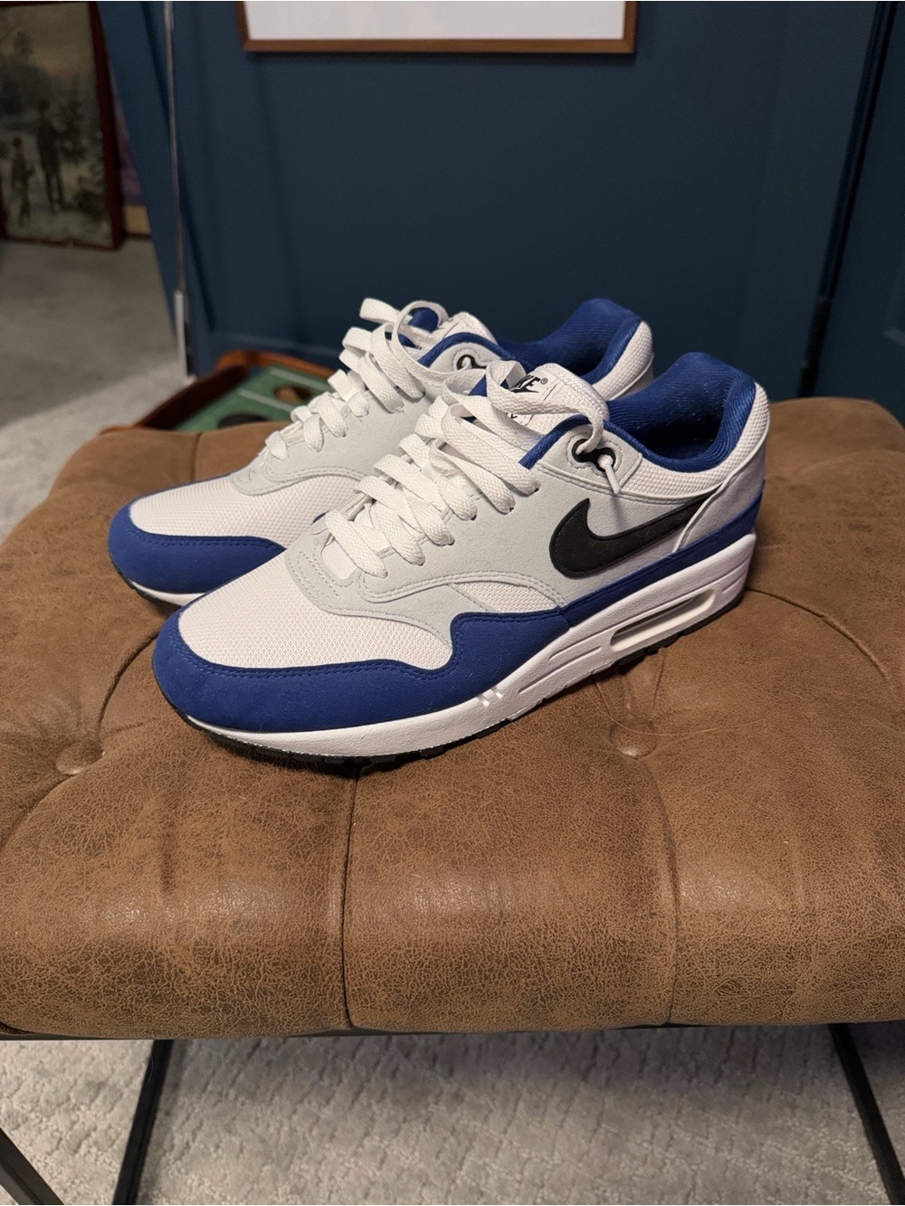 Nike Men’s White & Blue Air Max Shoes